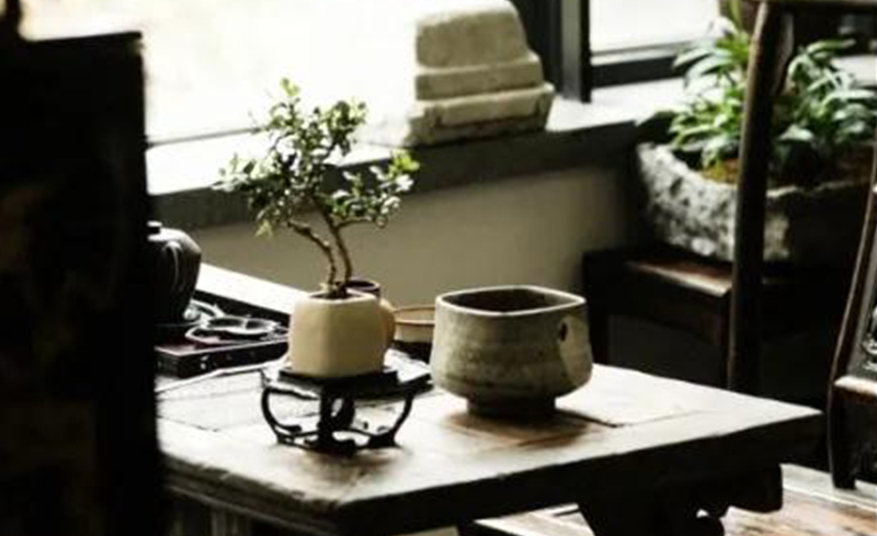 开卷有益｜茶人高手速成班：《茶之收敛性》